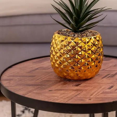 Cosy Avec Jardin Au Centre Historique De & Proche Europa-park Sélestat