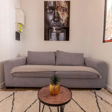Apartamento Cosy Avec Jardin Au Centre Historique De Sélestat&proche Europa-park